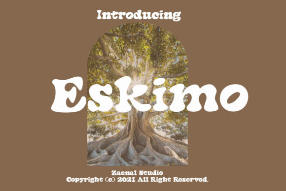 Eskimo: A Display Font with a Clear, Cold Mood