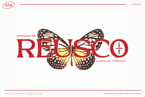 Reusco: A Modern Font for Editorial Character