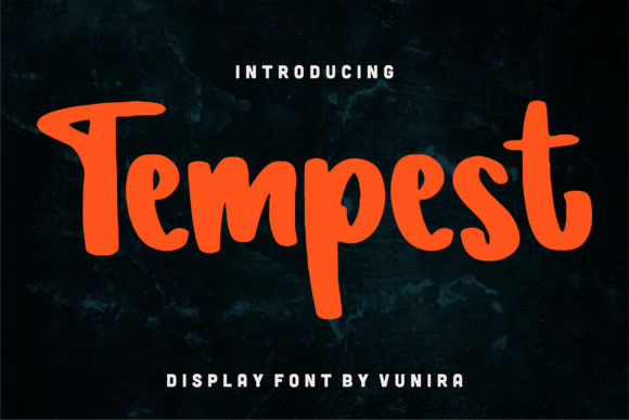 Tempest Font: A Friendly Display Typeface for Digital Design
